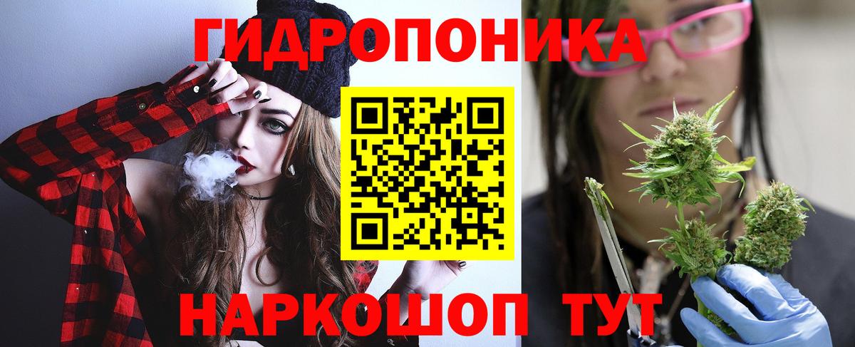 Бошки Шишки сатива Анапа